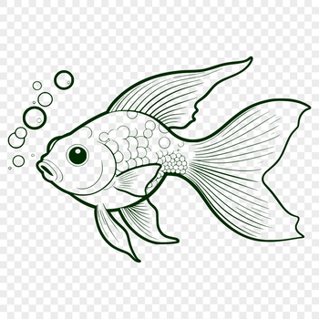 A digital illustration of a goldfish in vector format.