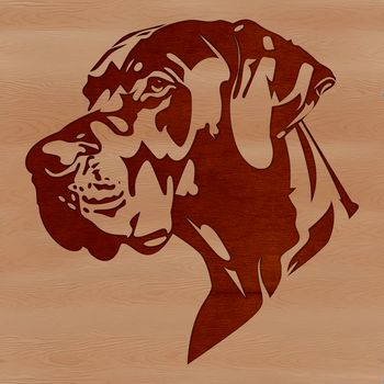 A detailed illustration of a Great Dane's head, suitable for customization in various design software.