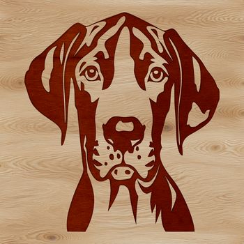 Large breed dog illustration with detailed head features.