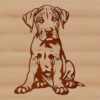 Great Dane breed illustration in vector format, suitable for personal or commercial projects.