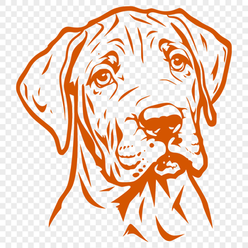 Large breed dog portrait in vector format.