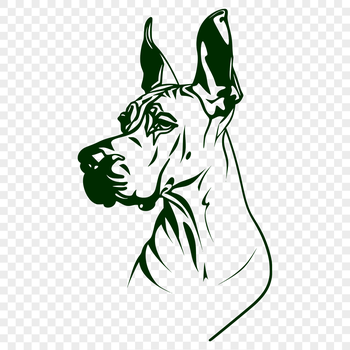 A close-up illustration of a Great Dane's head, showcasing the breed's distinctive features.