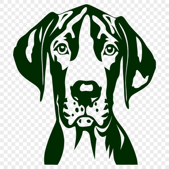 A regal-looking Great Dane breed dog with a distinctive head shape.