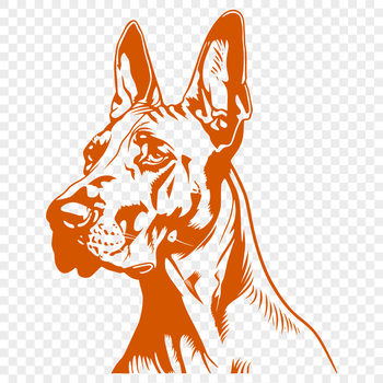 A digital illustration of a Great Dane's head, created as a vector graphic suitable for various design projects.
