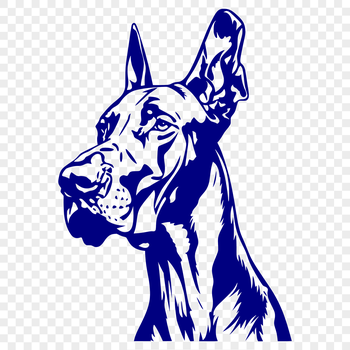 A realistic illustration of a Great Dane's head, suitable for various design projects.