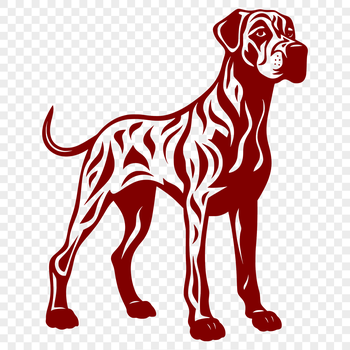 A large standing dog with an ornate breed-specific appearance.
