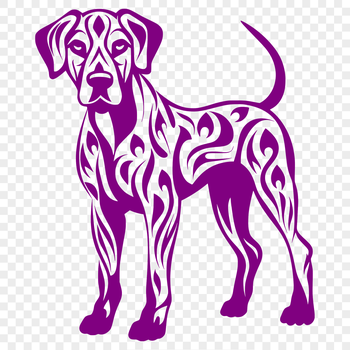 A large breed dog standing on four legs, shown in full-body view with details on its fur.