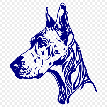 A large breed dog with a distinctive head shape.