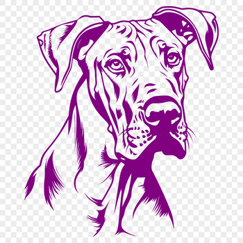 A large breed dog with a distinctive head shape and floppy ears.
