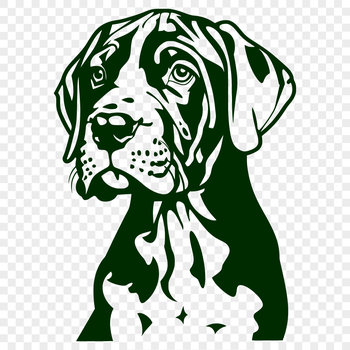 Large breed dog illustration with detailed head and body features.