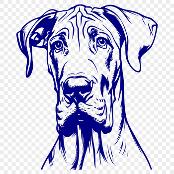 Close-up of a large dog's head, featuring a Great Dane breed.