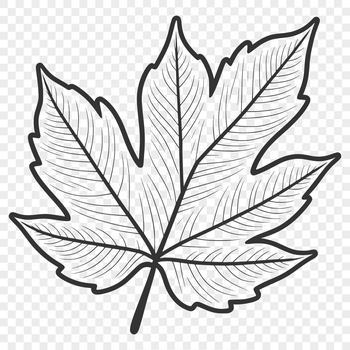 A green leaf with veins and edges, designed as a vector graphic.