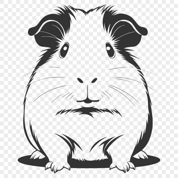 Close-up illustration of a friendly guinea pig in a cartoon style, suitable for vector art designs.