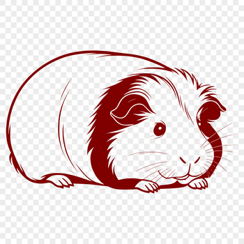 A digital illustration of a guinea pig as a vector graphic, suitable for use in various design projects.