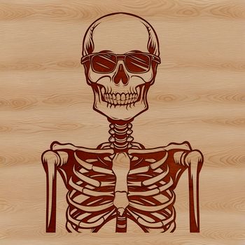 A simplified illustration of a human skeleton, ideal for clip art and graphic design projects.
