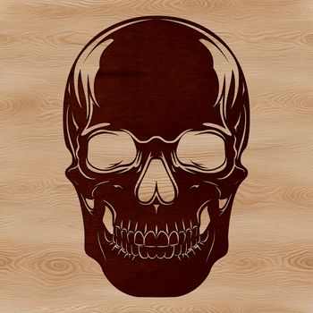 A detailed 2D illustration of a human skull with intricate design elements.