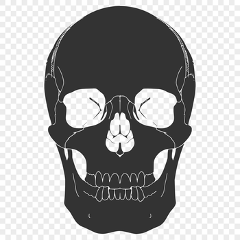 A detailed silhouette of a skull, suitable for Halloween designs and artistic purposes.