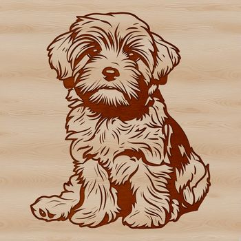 A sitting Havanese dog breed portrait in vector format.