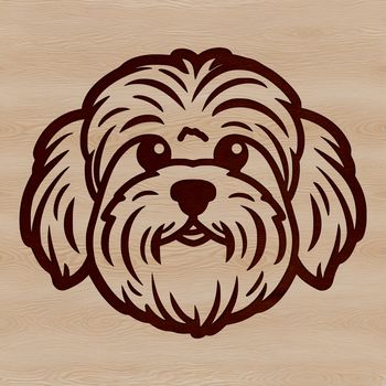 A simple line drawing of a Havanese dog's head, created as vector art.