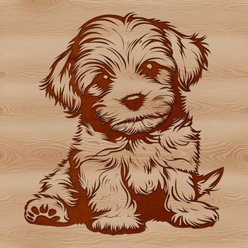 A digital illustration of a sitting Havanese dog breed.