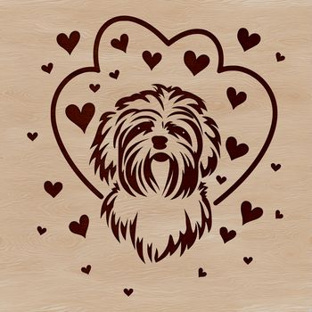 Havanese dog illustration with love hearts on its head, suitable for vector art projects.