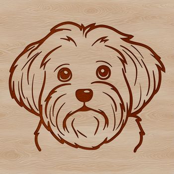 A small breed dog with a fluffy coat and sweet expression, suitable for digital art and crafting projects.