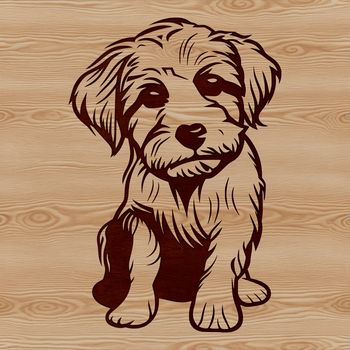 A sitting havanese dog breed illustration in vector format.