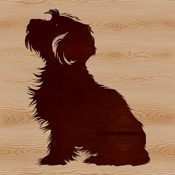Silhouette of a havanese dog in a sitting position.