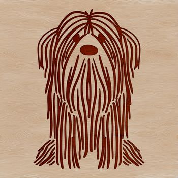 Vector graphic of a calm seated Havanese animal.