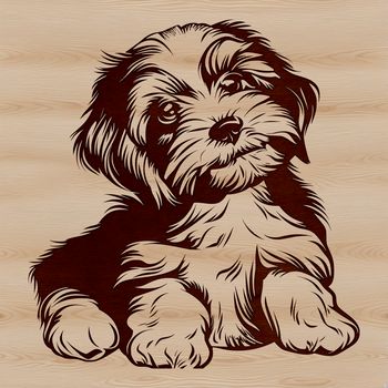 A sitting Havaneses dog breed depicted in a simple vector illustration.