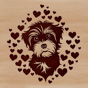 Close-up illustration of a Havanese dog's head with love hearts surrounding its features.