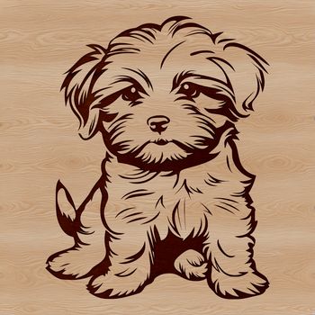 A small, fluffy Havanese dog sitting on its hind legs.