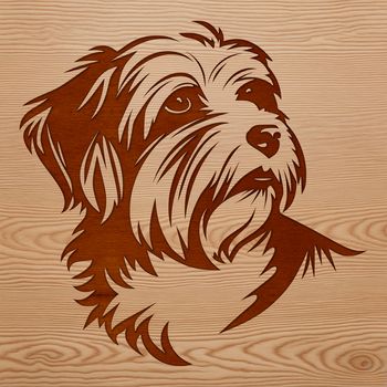 Small dog breed illustration featuring a Havanese with its head held high.