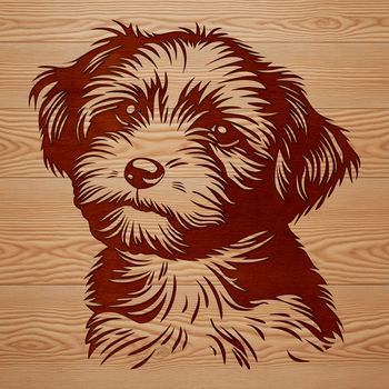 An isolated graphic of a Havanese dog's face, available as an SVG file for cutting machine templates and digital designs.