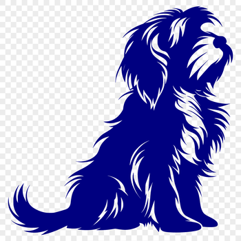 A sitting havanese dog breed in full body view.