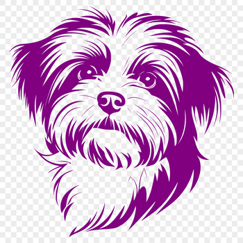 A close-up illustration of a Havanese dog's head with detailed facial features.