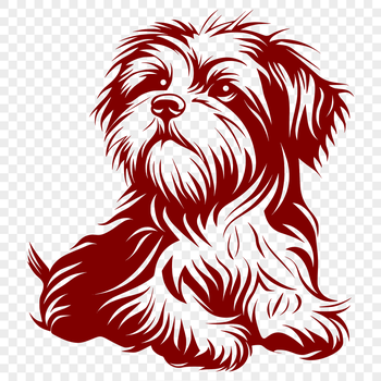 A detailed illustration of a sitting Havanese dog breed in full body view.