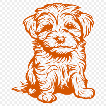 A sitting Havanese dog with full body illustration in vector design.