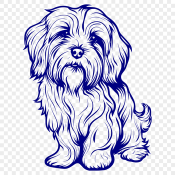 A full-body illustration of a Havanese dog sitting in a natural pose.