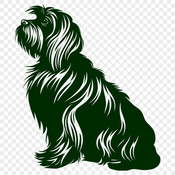 A detailed vector design of a Havanese dog in a sitting position, suitable for clip art use.