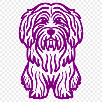 A small, white dog breed with silky coat, sitting upright on its hind legs.