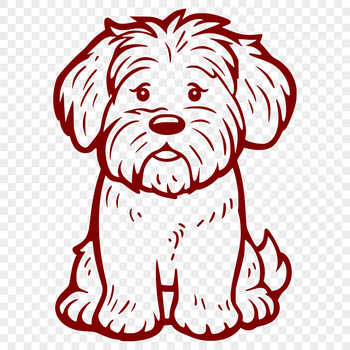 A high-quality illustration of a Havanese dog in full body pose, suitable for various uses including design projects.