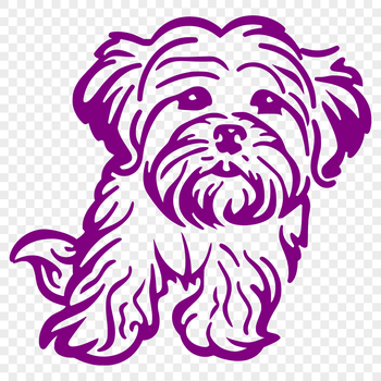 A detailed illustration of a Havanese dog in full body pose, suitable for vector graphics and design projects.