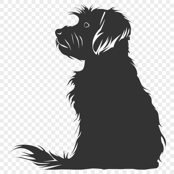 A sitting Havanese dog with full body illustration, ideal for pet owners and enthusiasts.