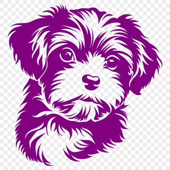 A high-quality digital illustration of a small, fluffy Havanese dog with a sweet expression.