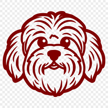 Free Stunning Havanese Illustration