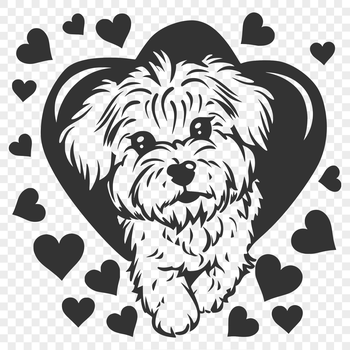 A full-body illustration of a Havanese dog with love hearts surrounding its body.