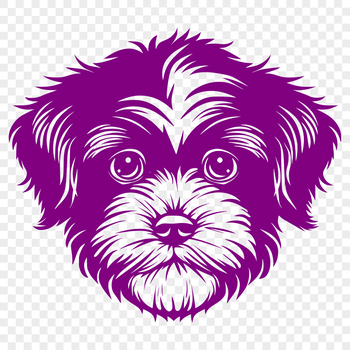 A high-quality vector illustration of a Havanese dog's head, suitable for various design projects.