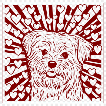 A Havanese dog with love hearts surrounding its head, suitable for personal and commercial projects.