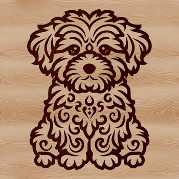 A small breed dog sitting on its hind legs, featuring a distinctive curly coat.